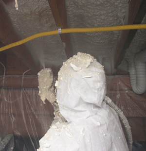 Glendale CA crawl space insulation