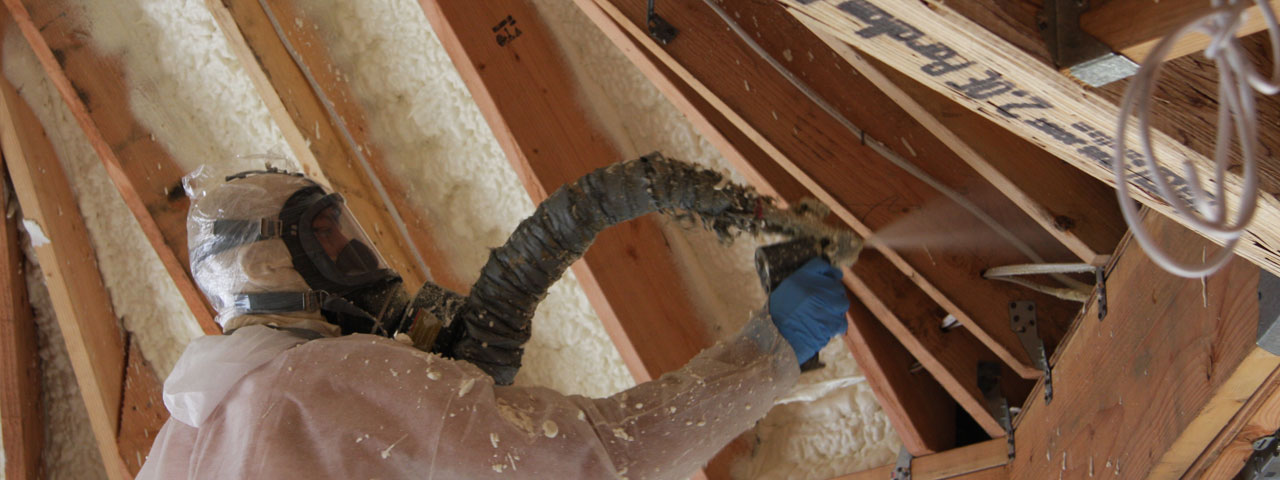 Glendale California Attic Insulation Spray Foam